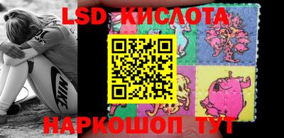 тгк Новозыбков
