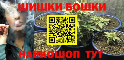 мдпв Новокубанск