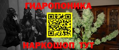 тгк Новозыбков