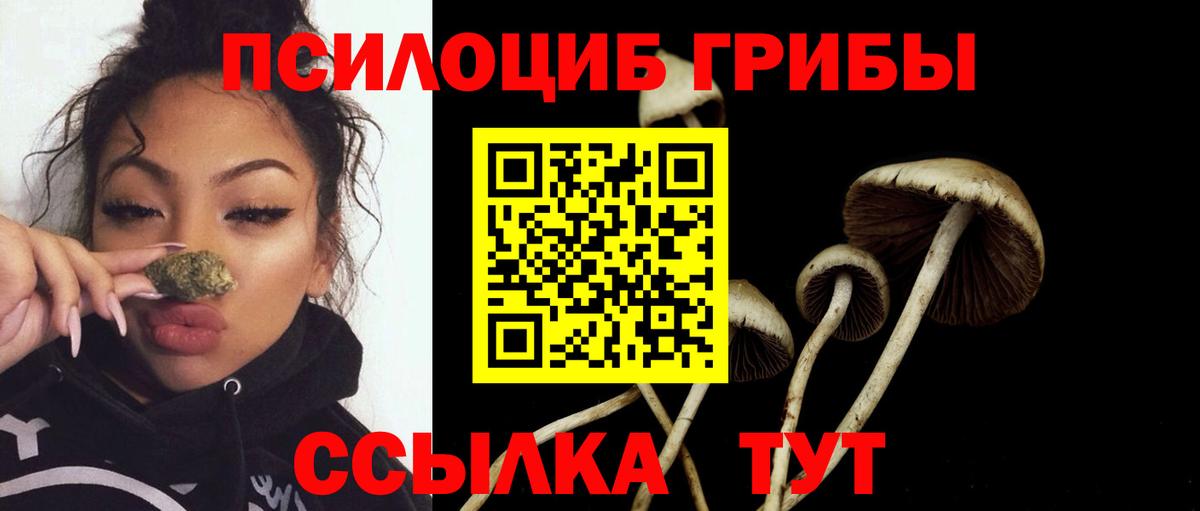 Псилоцибиновые грибы GOLDEN TEACHER Спасск-Дальний